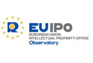 Observatory publications relating to specific issues regarding IP and infringements
